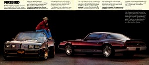 1981 Pontiac Full Line (Cdn)-18-19.jpg